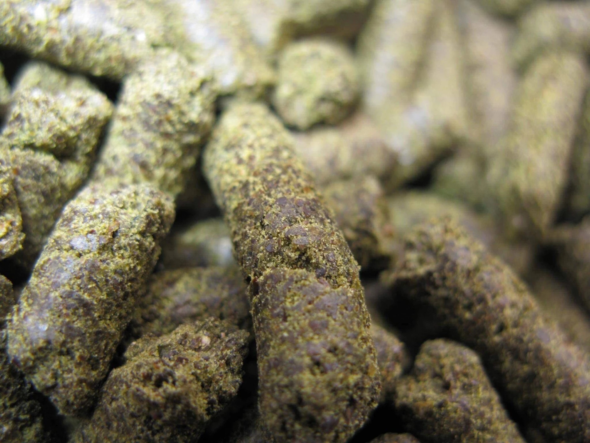 KEMPZAADPELLETS 1STE KEUS 8mm